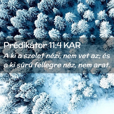 Picture 02 - Prédikátor 11:4 KAR - A ki a szelet nézi, nem vet az; és a ki sûrû - Bible Verse Picture