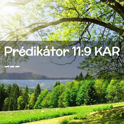 Picture 02 - Prédikátor 11:9 KAR -  - Bible Verse Picture