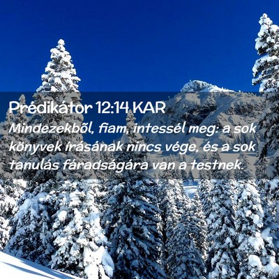 Picture 02 - Prédikátor 12:14 KAR - Mindezekbõl, fiam, intessél meg: a sok könyvek - Bible Verse Picture