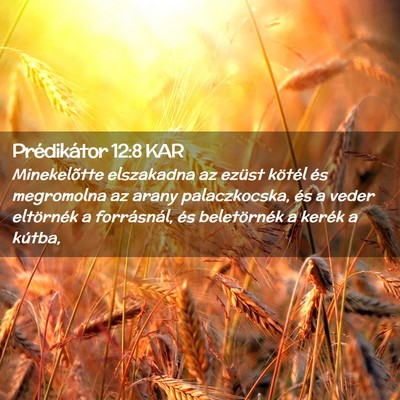 Picture 02 - Prédikátor 12:8 KAR - Minekelõtte elszakadna az ezüst kötél és - Bible Verse Picture