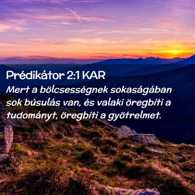Picture 02 - Prédikátor 2:1 KAR - Mert a bölcsességnek sokaságában sok - Bible Verse Picture