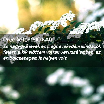 Picture 02 - Prédikátor 2:10 KAR - És nagygyá levék és megnevekedém mindazok - Bible Verse Picture