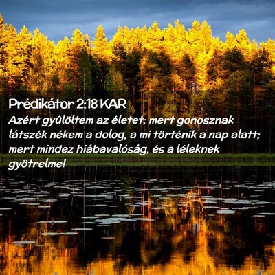 Picture 02 - Prédikátor 2:18 KAR - Azért gyûlöltem az életet; mert gonosznak - Bible Verse Picture