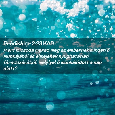 Picture 02 - Prédikátor 2:23 KAR - Mert micsoda marad meg az embernek minden õ - Bible Verse Picture