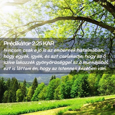 Picture 02 - Prédikátor 2:25 KAR - Nincsen csak e jó is az embernek hatalmában, - Bible Verse Picture