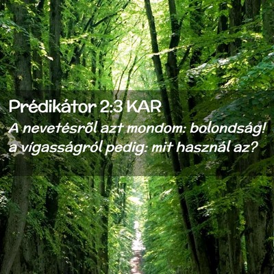 Picture 02 - Prédikátor 2:3 KAR - A nevetésrõl azt mondom: bolondság! a - Bible Verse Picture
