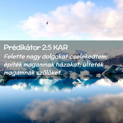 Picture 02 - Prédikátor 2:5 KAR - Felette nagy dolgokat cselekedtem; építék - Bible Verse Picture