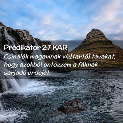 Picture 02 - Prédikátor 2:7 KAR - Csinálék magamnak víz[tartó] tavakat, hogy - Bible Verse Picture