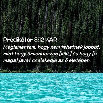 Picture 02 - Prédikátor 3:12 KAR - Megismertem, hogy nem tehetnek jobbat, mint hogy - Bible Verse Picture