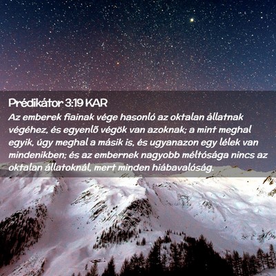 Picture 02 - Prédikátor 3:19 KAR - Az emberek fiainak vége hasonló az oktalan - Bible Verse Picture
