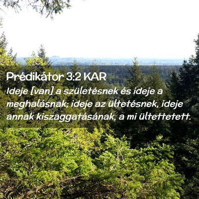 Picture 02 - Prédikátor 3:2 KAR - Ideje [van] a születésnek és ideje a - Bible Verse Picture