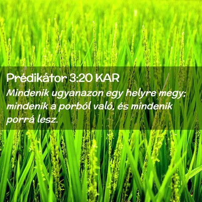 Picture 02 - Prédikátor 3:20 KAR - Mindenik ugyanazon egy helyre megy; mindenik a - Bible Verse Picture