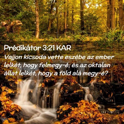 Picture 02 - Prédikátor 3:21 KAR - Vajjon kicsoda vette eszébe az ember lelkét, - Bible Verse Picture