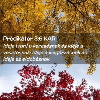 Picture 02 - Prédikátor 3:6 KAR - Ideje [van] a keresésnek és ideje a - Bible Verse Picture