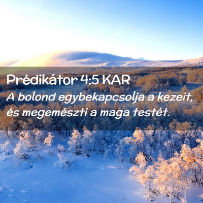 Picture 02 - Prédikátor 4:5 KAR - A bolond egybekapcsolja a kezeit, és megemészti - Bible Verse Picture