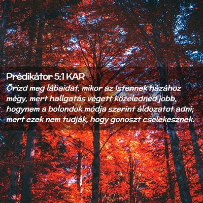 Picture 02 - Prédikátor 5:1 KAR - Õrizd meg lábaidat, mikor az Istennek házához - Bible Verse Picture