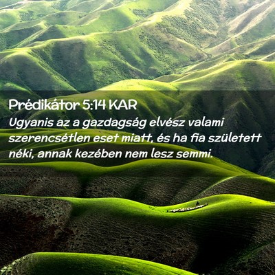 Picture 02 - Prédikátor 5:14 KAR - Ugyanis az a gazdagság elvész valami - Bible Verse Picture