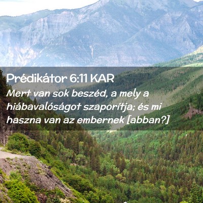 Picture 02 - Prédikátor 6:11 KAR - Mert van sok beszéd, a mely a hiábavalóságot - Bible Verse Picture