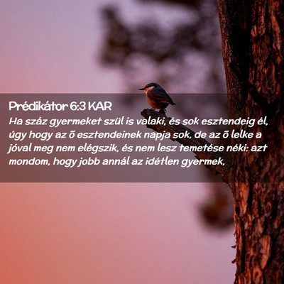 Picture 02 - Prédikátor 6:3 KAR - Ha száz gyermeket szül is valaki, és sok - Bible Verse Picture