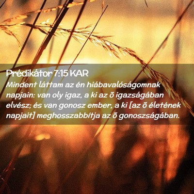 Picture 02 - Prédikátor 7:15 KAR - Mindent láttam az én hiábavalóságomnak - Bible Verse Picture