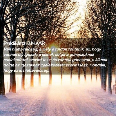 Picture 02 - Prédikátor 8:14 KAR - Van hiábavalóság, a mely e földön - Bible Verse Picture