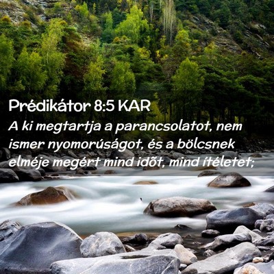 Picture 02 - Prédikátor 8:5 KAR - A ki megtartja a parancsolatot, nem ismer - Bible Verse Picture