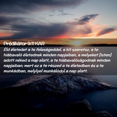 Picture 02 - Prédikátor 9:11 KAR - Éld életedet a te feleségeddel, a kit - Bible Verse Picture