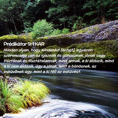 Picture 02 - Prédikátor 9:4 KAR - Minden olyan, hogy mindenkit [érhet], egyazon - Bible Verse Picture