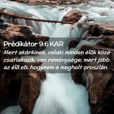 Picture 02 - Prédikátor 9:6 KAR - Mert akárkinek, valaki minden élõk közé - Bible Verse Picture