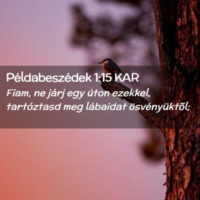 Picture 02 - Példabeszédek 1:15 KAR - Fiam, ne járj egy úton ezekkel, tartóztasd meg - Bible Verse Picture