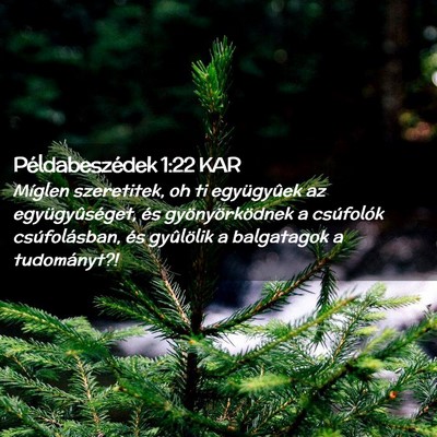 Picture 02 - Példabeszédek 1:22 KAR - Míglen szeretitek, oh ti együgyûek az - Bible Verse Picture