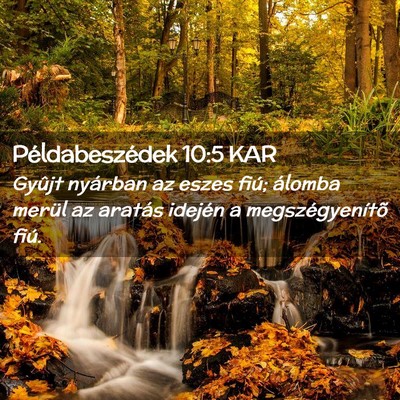 Picture 02 - Példabeszédek 10:5 KAR - Gyûjt nyárban az eszes fiú; álomba merül az - Bible Verse Picture