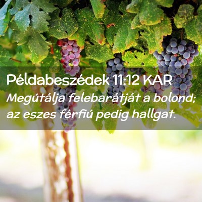 Picture 02 - Példabeszédek 11:12 KAR - Megútálja felebarátját a bolond; az eszes - Bible Verse Picture