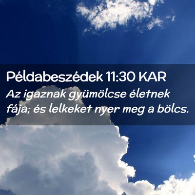 Picture 02 - Példabeszédek 11:30 KAR - Az igaznak gyümölcse életnek fája; és - Bible Verse Picture