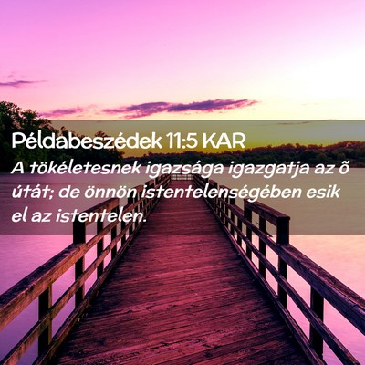 Picture 02 - Példabeszédek 11:5 KAR - A tökéletesnek igazsága igazgatja az õ - Bible Verse Picture