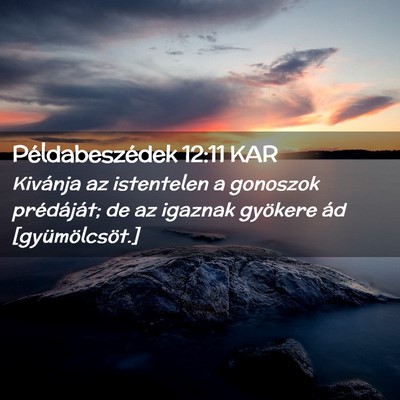 Picture 02 - Példabeszédek 12:11 KAR - Kivánja az istentelen a gonoszok prédáját; de - Bible Verse Picture