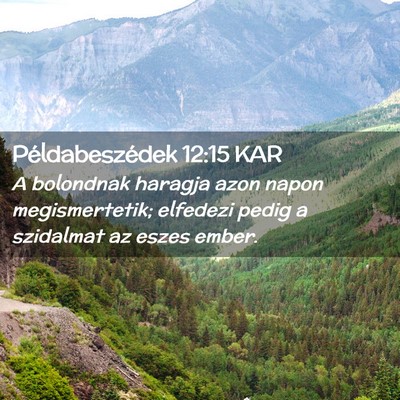 Picture 02 - Példabeszédek 12:15 KAR - A bolondnak haragja azon napon megismertetik; - Bible Verse Picture