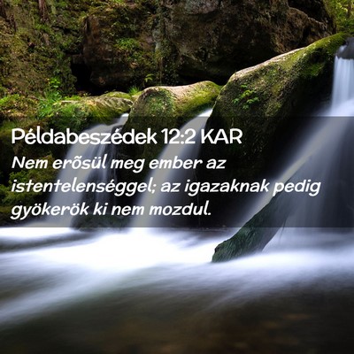 Picture 02 - Példabeszédek 12:2 KAR - Nem erõsül meg ember az istentelenséggel; az - Bible Verse Picture