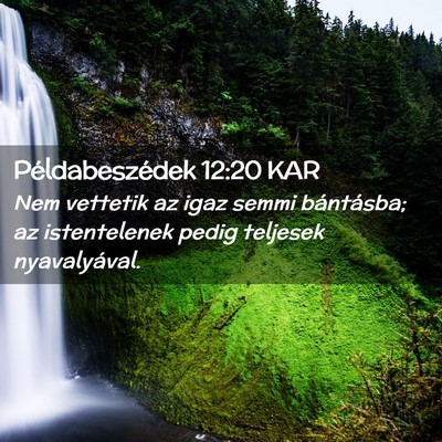 Picture 02 - Példabeszédek 12:20 KAR - Nem vettetik az igaz semmi bántásba; az - Bible Verse Picture
