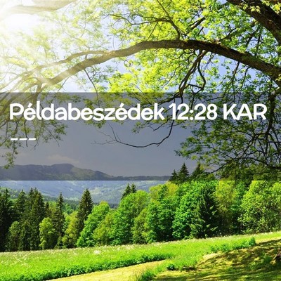 Picture 02 - Példabeszédek 12:28 KAR -  - Bible Verse Picture