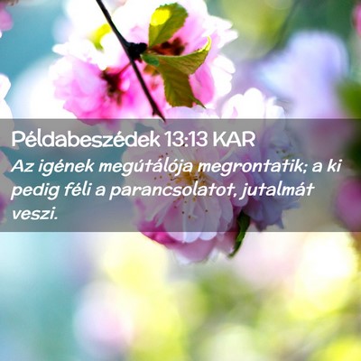 Picture 02 - Példabeszédek 13:13 KAR - Az igének megútálója megrontatik; a ki pedig - Bible Verse Picture