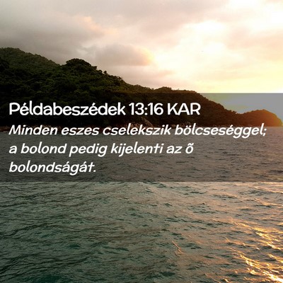 Picture 02 - Példabeszédek 13:16 KAR - Minden eszes cselekszik bölcseséggel; a bolond - Bible Verse Picture