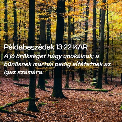 Picture 02 - Példabeszédek 13:22 KAR - A jó örökséget hágy unokáinak; a bûnösnek - Bible Verse Picture