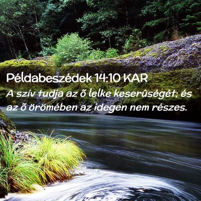 Picture 02 - Példabeszédek 14:10 KAR - A szív tudja az õ lelke keserûségét; és az - Bible Verse Picture