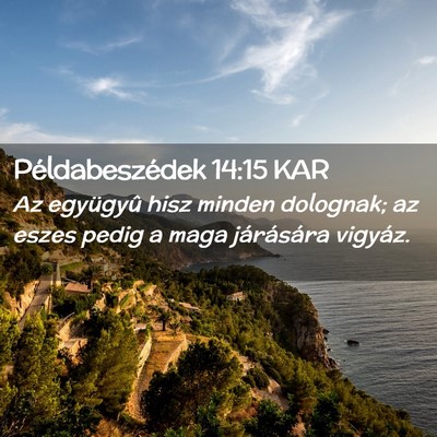 Picture 02 - Példabeszédek 14:15 KAR - Az együgyû hisz minden dolognak; az eszes pedig - Bible Verse Picture