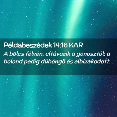 Picture 02 - Példabeszédek 14:16 KAR - A bölcs félvén, eltávozik a gonosztól; a - Bible Verse Picture