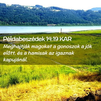 Picture 02 - Példabeszédek 14:19 KAR - Meghajtják magokat a gonoszok a jók elõtt, és - Bible Verse Picture