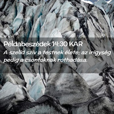 Picture 02 - Példabeszédek 14:30 KAR - A szelíd szív a testnek élete; az irígység - Bible Verse Picture