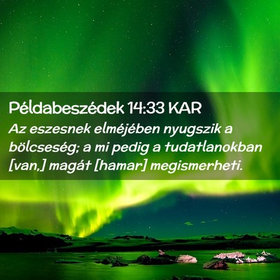 Picture 02 - Példabeszédek 14:33 KAR - Az eszesnek elméjében nyugszik a bölcseség; a - Bible Verse Picture
