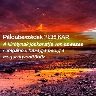 Picture 02 - Példabeszédek 14:35 KAR - A királynak jóakaratja van az eszes szolgához; - Bible Verse Picture